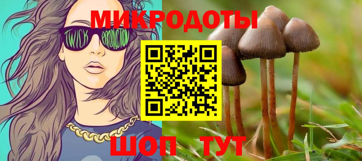 Псилоцибиновые грибы Cubensis Алатырь