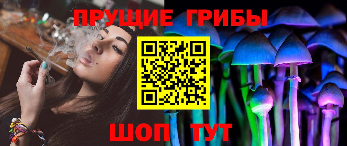 Галлюциногенные грибы Psilocybe  Вход с VPN  Алатырь 